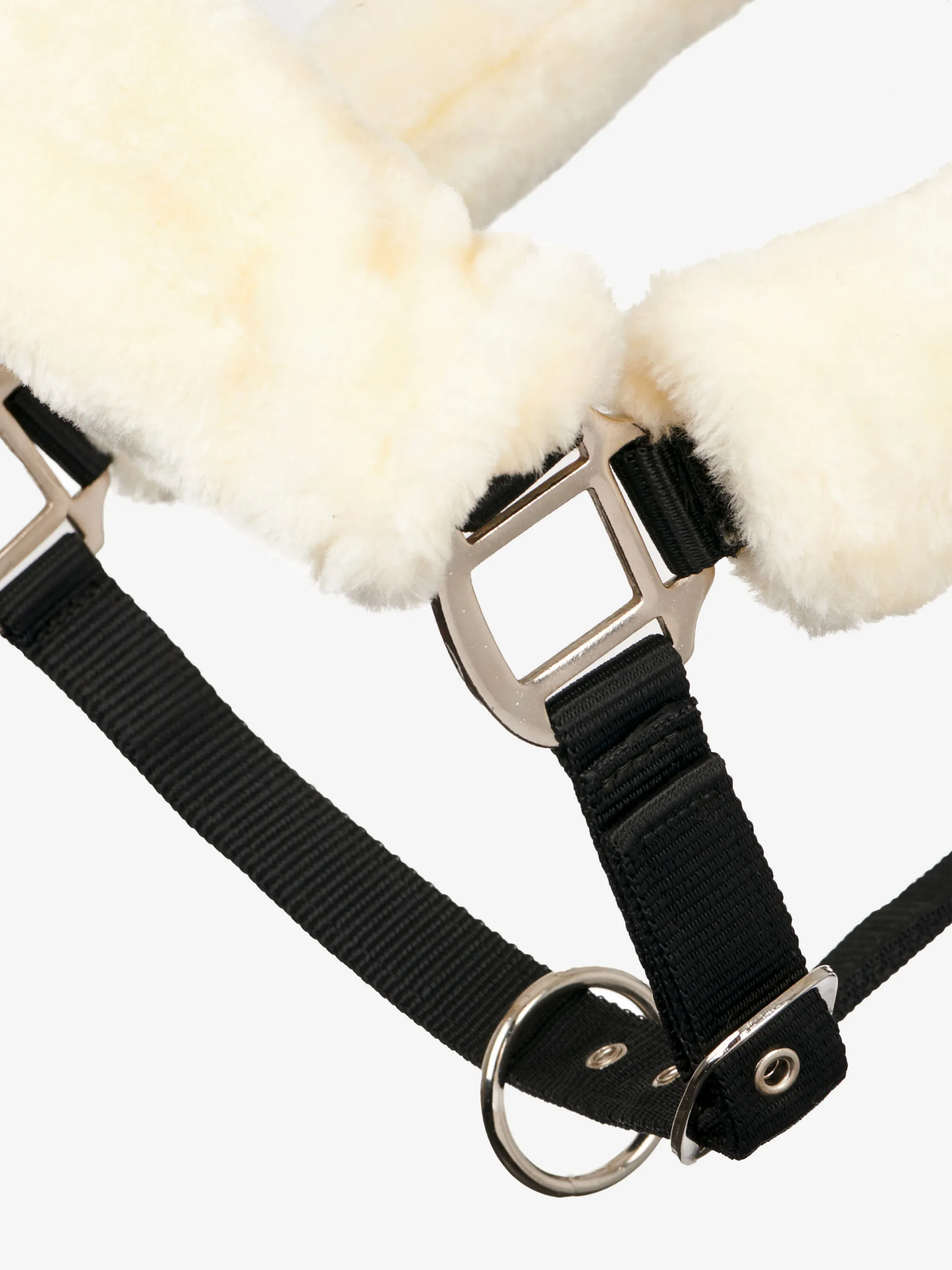 Licol LeMieux Confort pour cheval